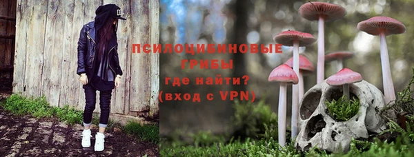 герыч Бородино
